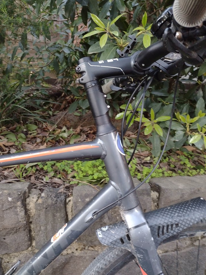 does my steerer look big in this?